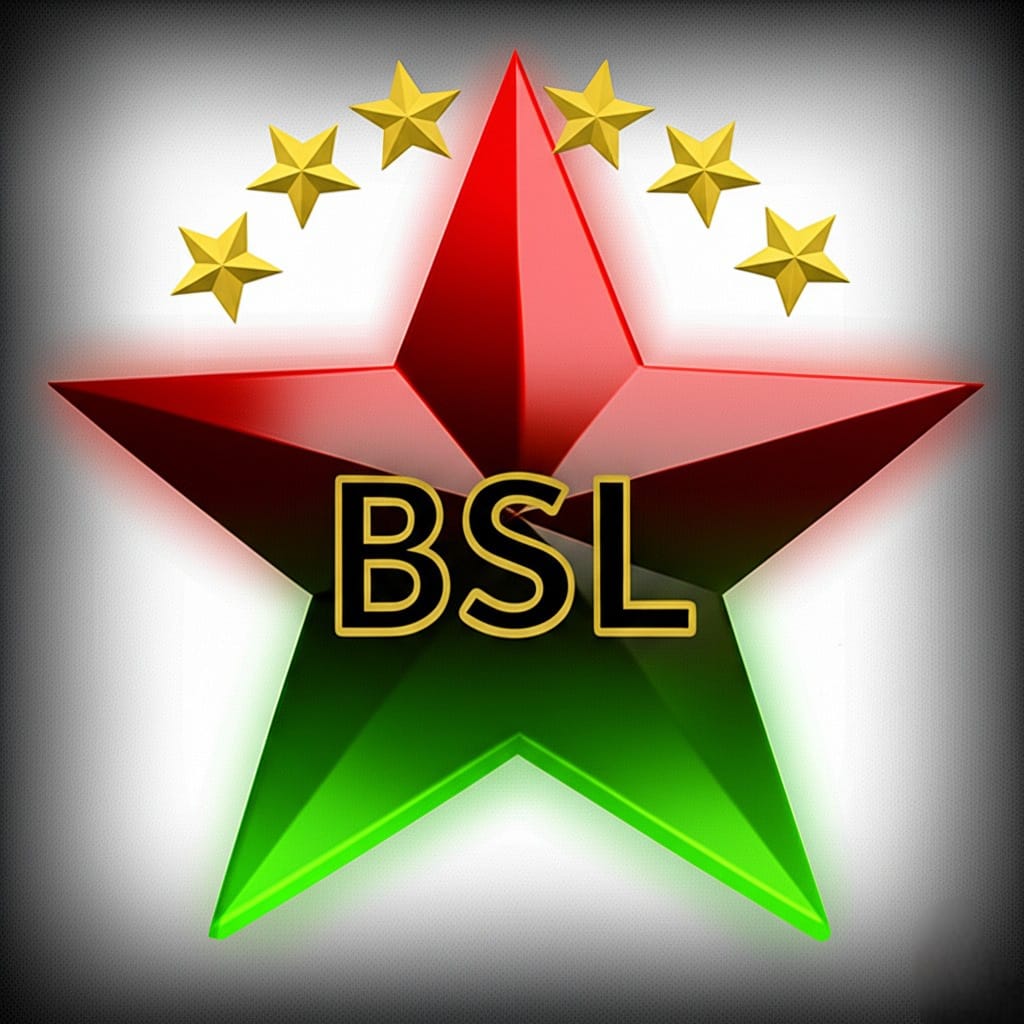 Black Starline Logistics Logo